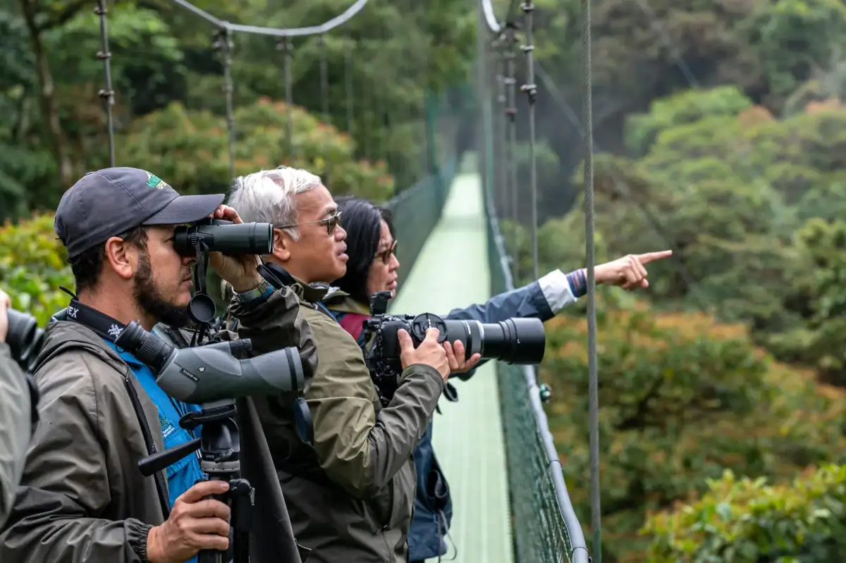Hanging Bridges Tour in Monteverde