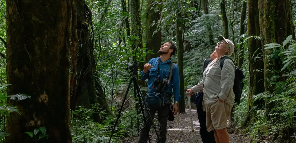 Cloud Forest Reserve Tour