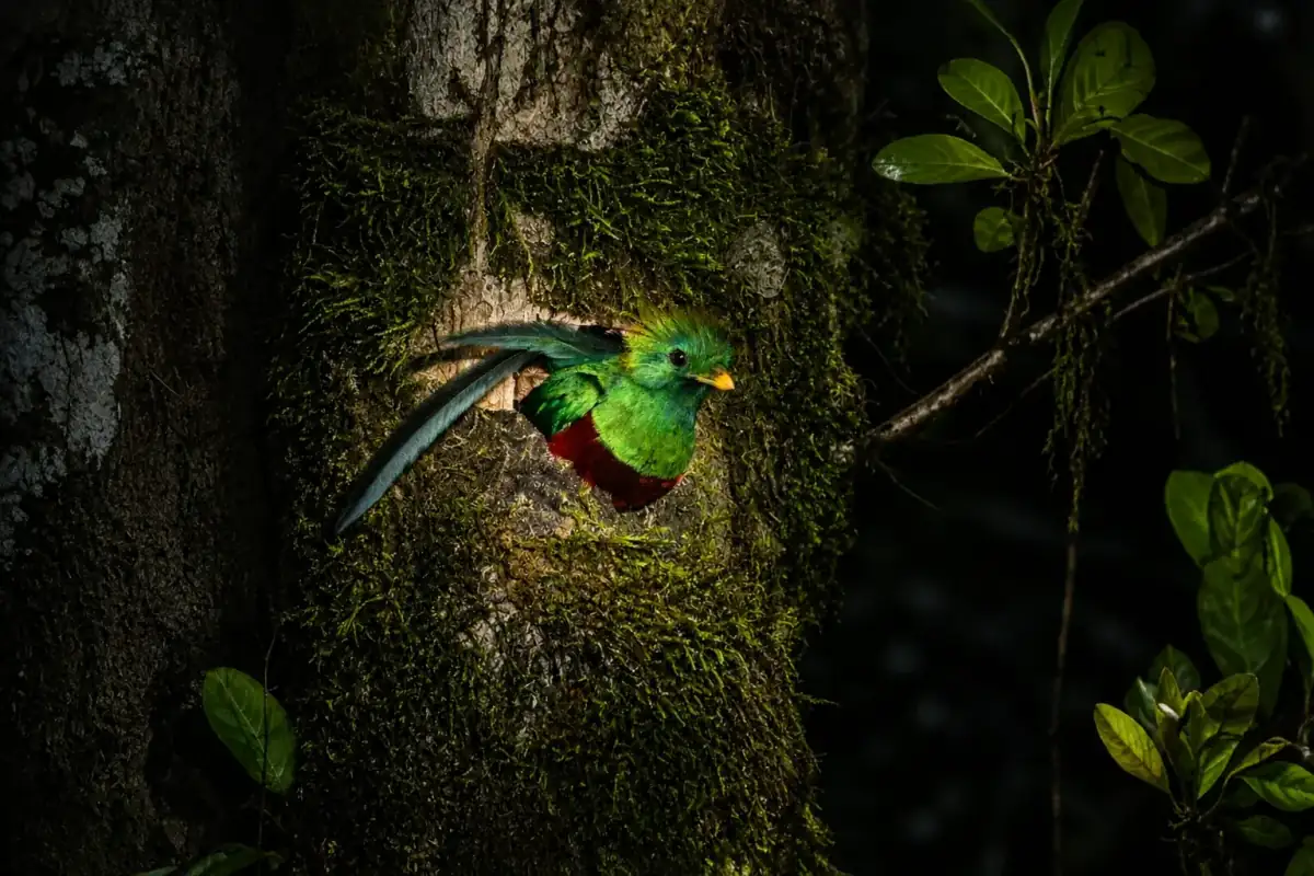 Biological Reserve Night Walk