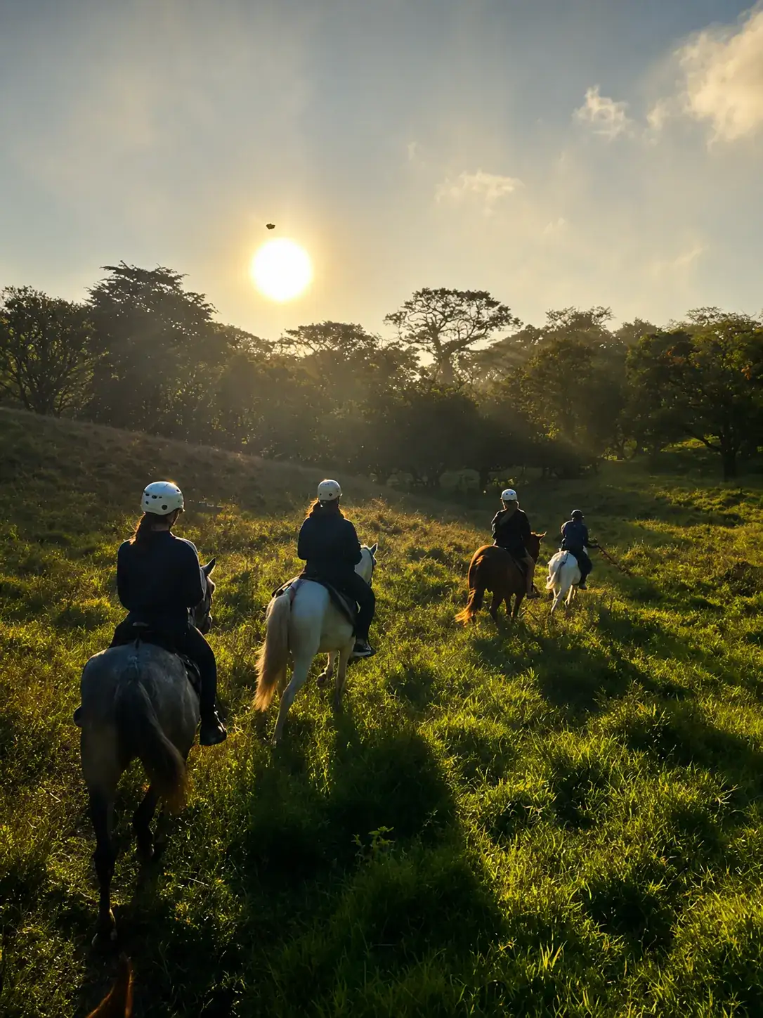 Horseback Riding Tour in Monteverde