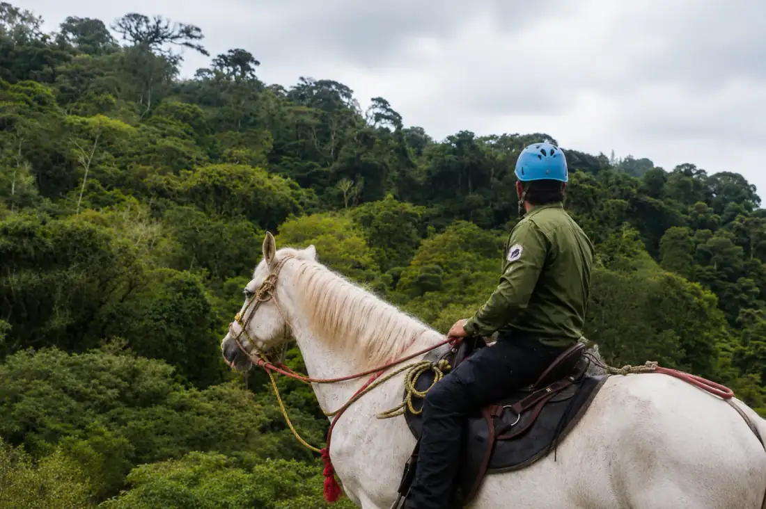 Horseback Riding Tour in Monteverde